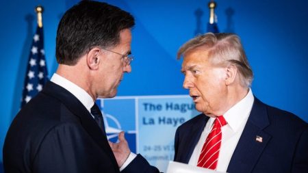 Trump and Rutte’s Plan for Greenland